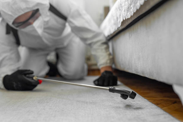 Professional Bed Bug Control technician working in Washington County County, MS